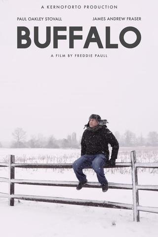 Buffalo poster