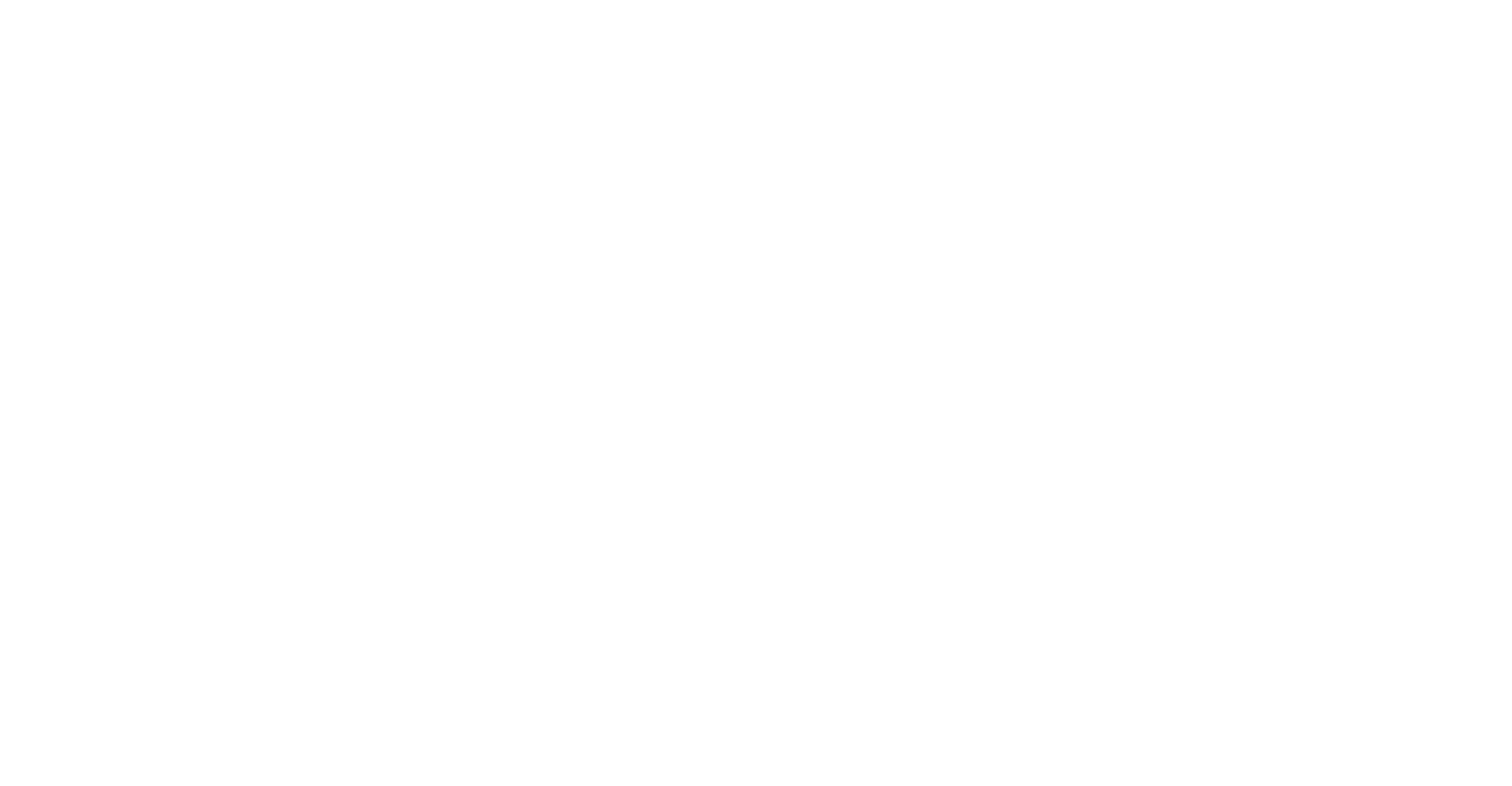 The Wedding Veil Journey logo