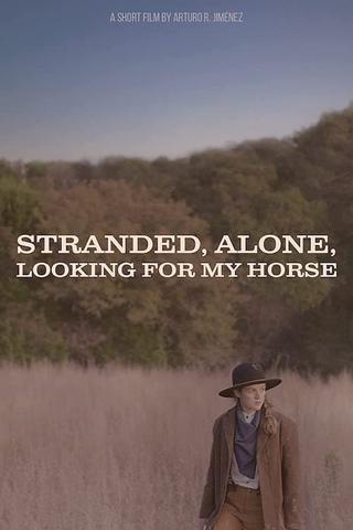 Stranded, Alone, Looking for my Horse poster