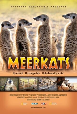 Meerkats 3D poster