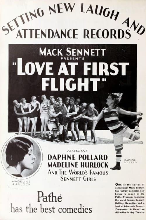 Love at First Flight poster