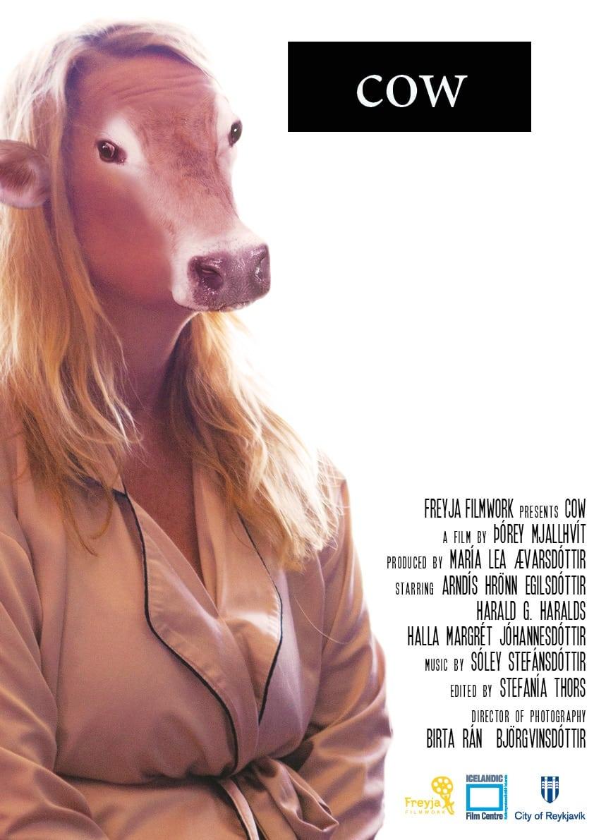 Cow poster