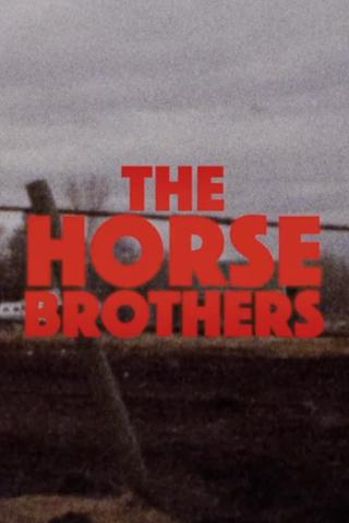 Horse Brothers poster