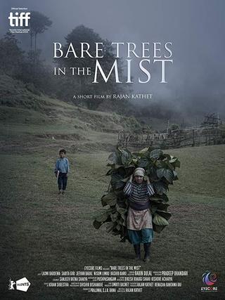 Bare Trees in the Mist poster