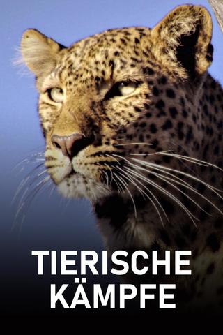 Tierische Kämpfe poster