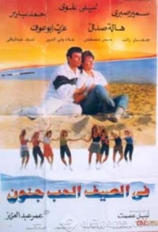 Love Is Crazy in the Summer poster