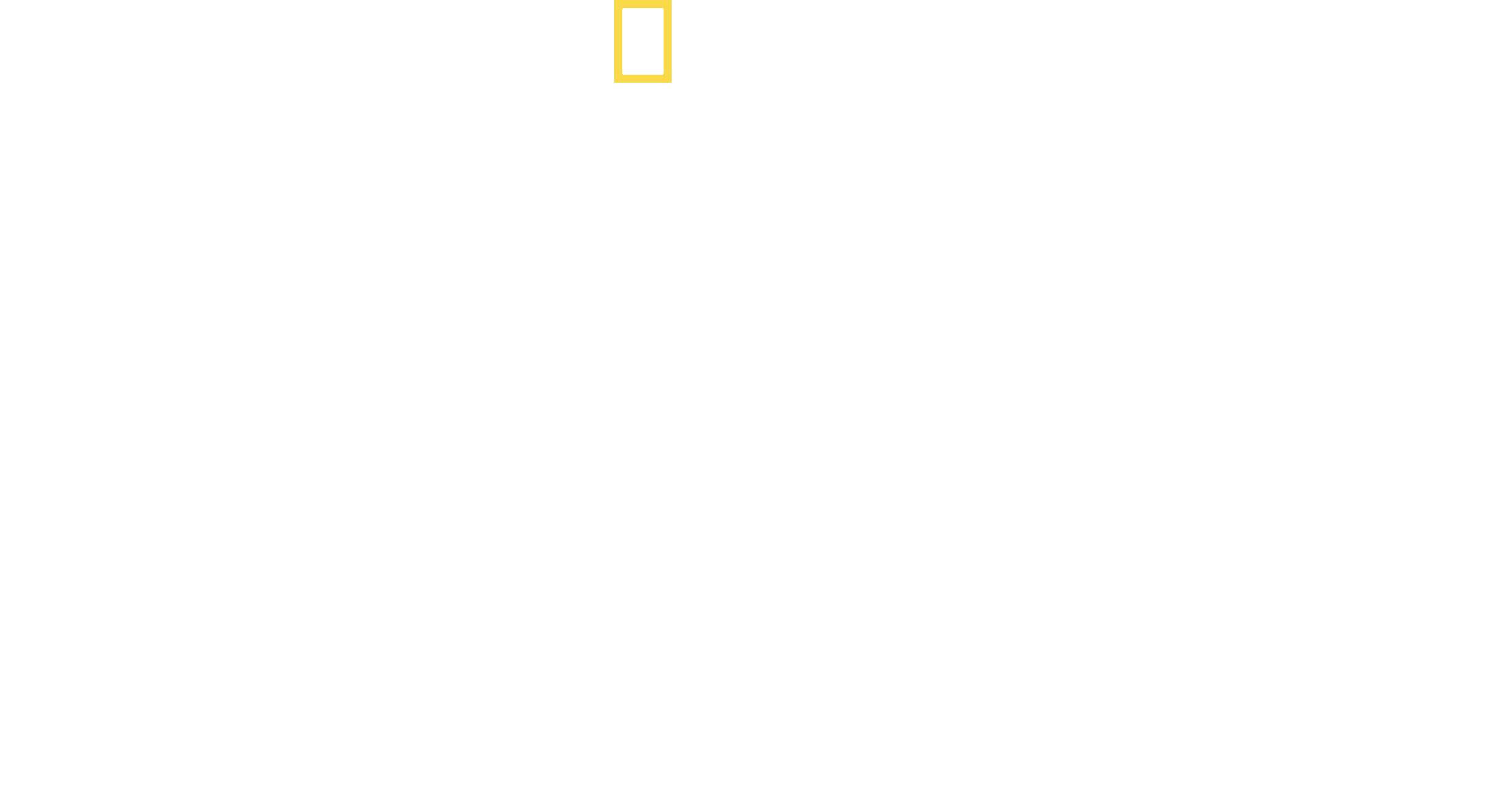 Sharks vs. Dolphins: Blood Battle logo