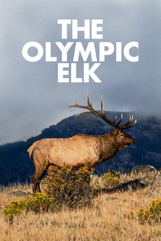 The Olympic Elk poster