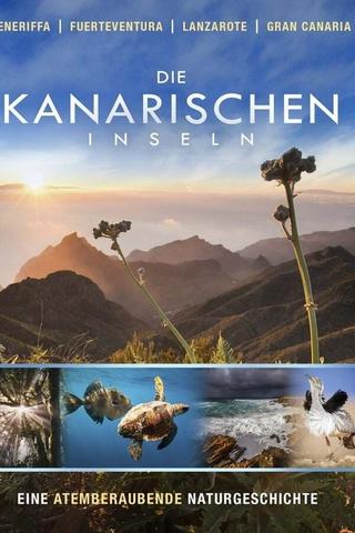 Die Kanarischen Inseln poster