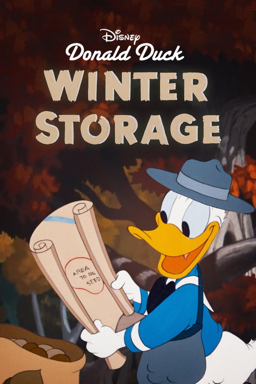 Winter Storage poster