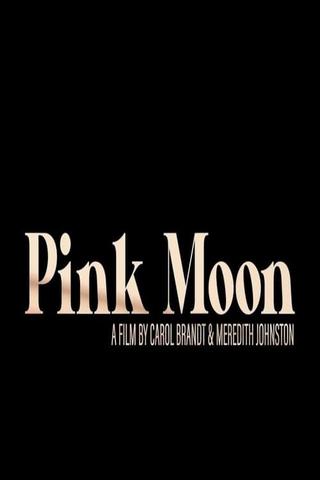 Pink Moon poster