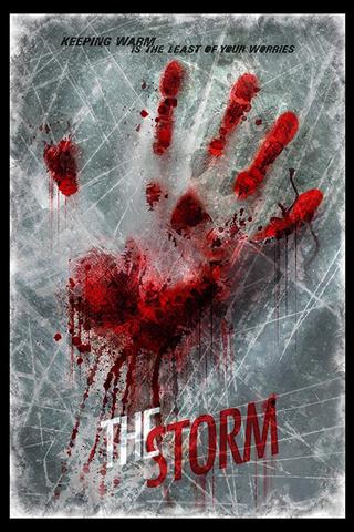 The Storm poster