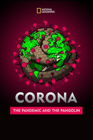 Corona: The Pandemic and the Pangolin poster