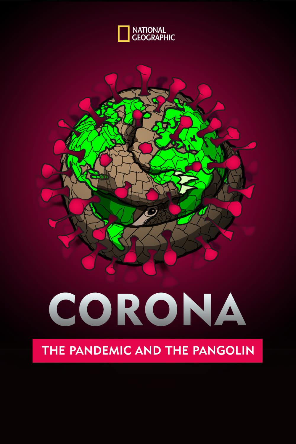 Corona: The Pandemic and the Pangolin poster