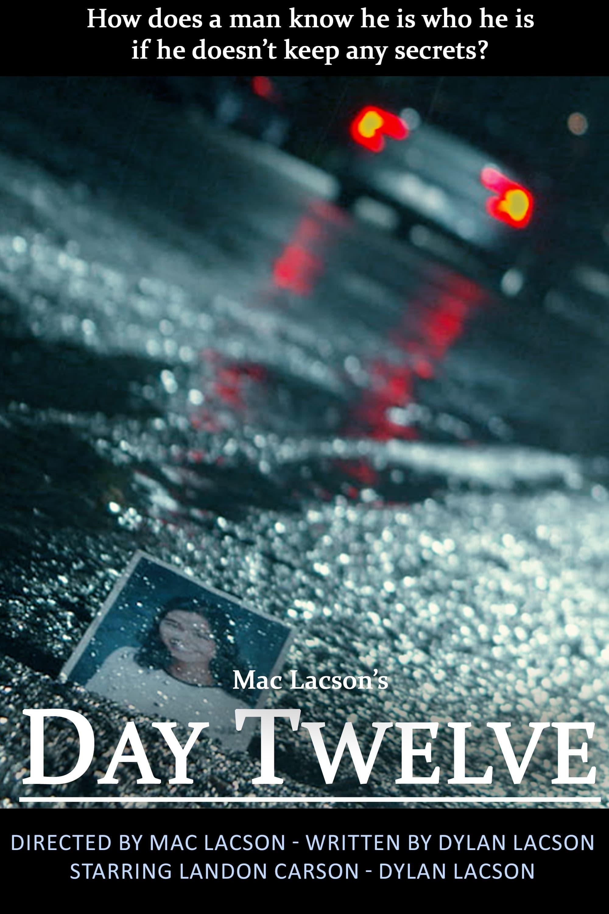 Day Twelve poster