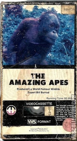 The Amazing Apes poster