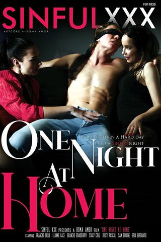 One Night At Home poster