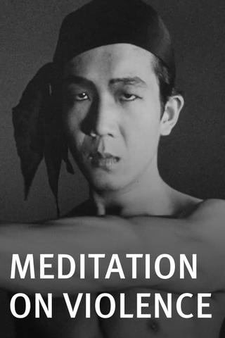 Meditation on Violence poster