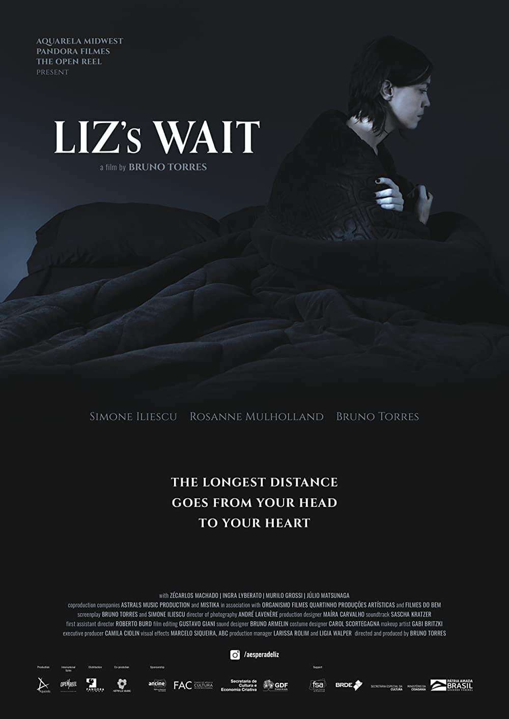 Liz's Wait poster