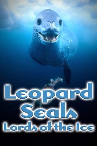 Leopard Seals: Lords of the Ice poster