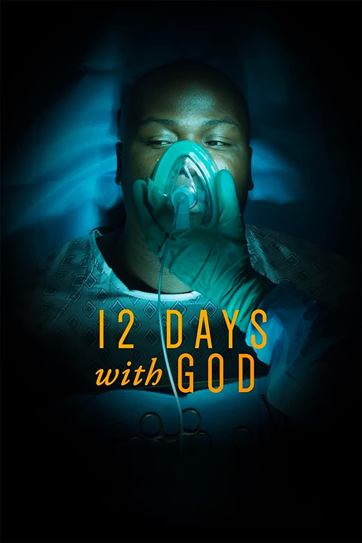 12 Days With God poster
