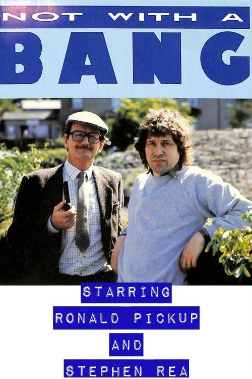 Not with a Bang poster