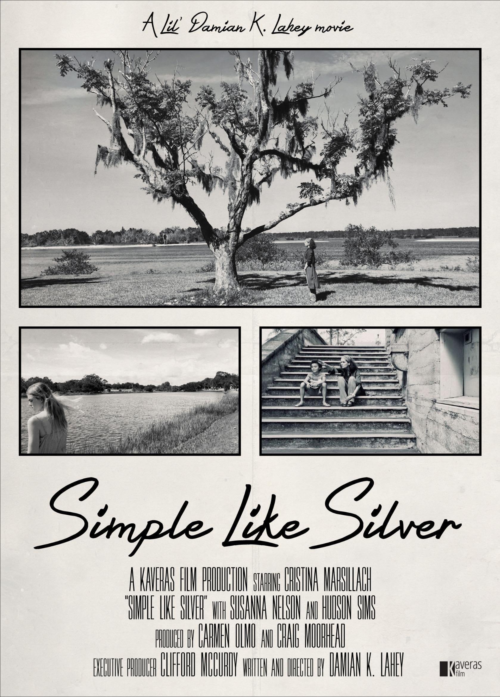 Simple Like Silver poster