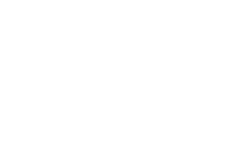 American Anthem logo