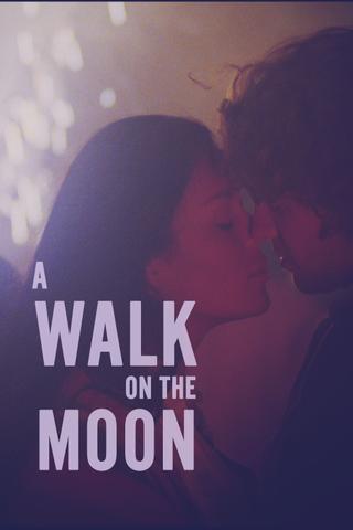 A Walk on the Moon poster