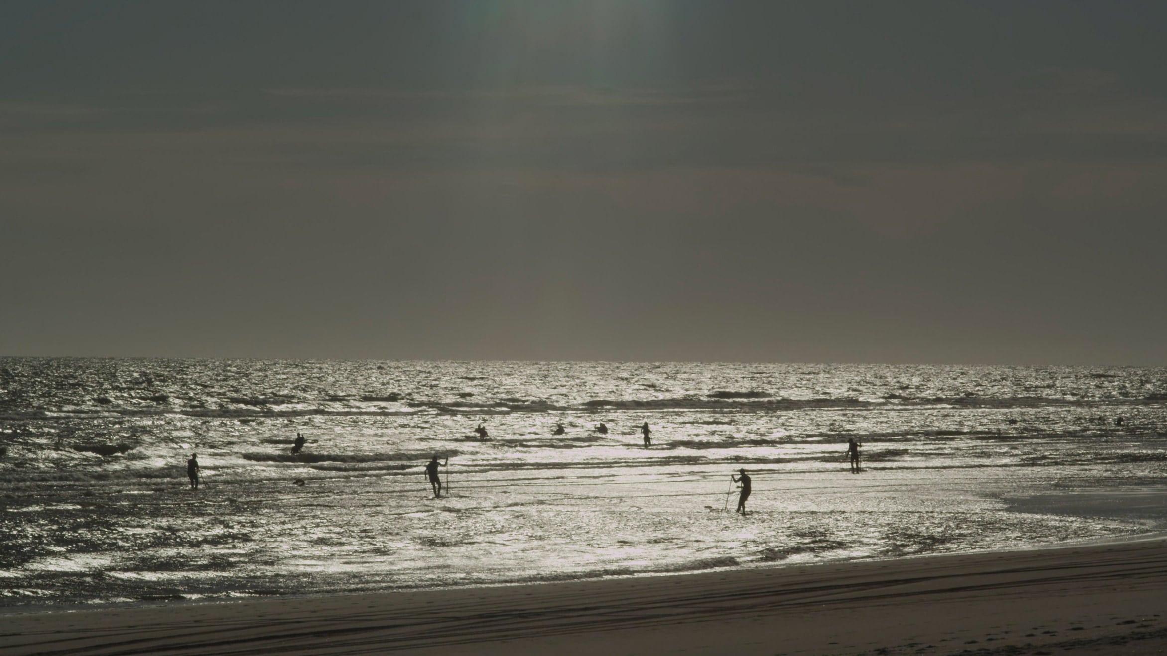 The Sea Stares at Us from Afar backdrop