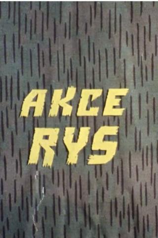Akce Rys poster