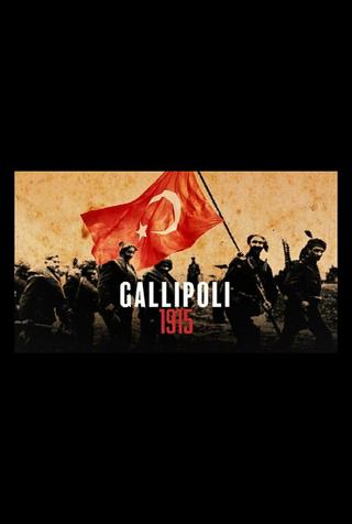 Gallipoli 1915 poster
