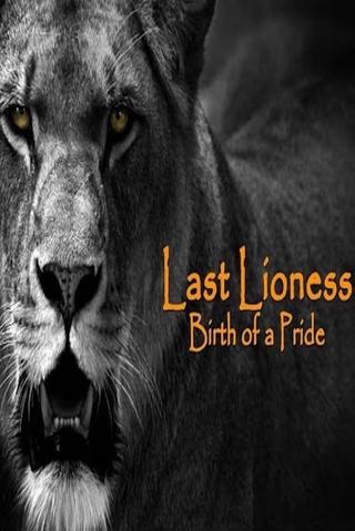 The Last Lioness: Birth of a Pride poster