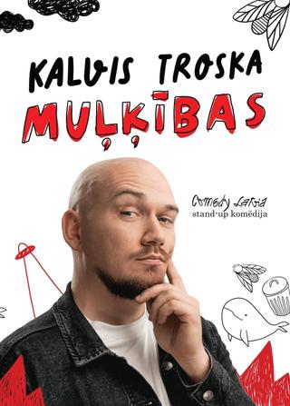 Muļķības poster