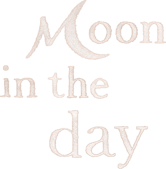 Moon in the Day logo