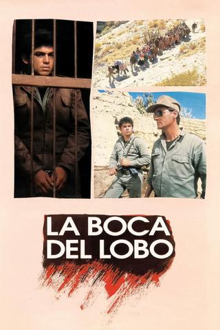 La boca del lobo poster