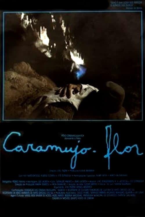 Caramujo-Flor poster