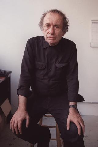 Vito Acconci pic