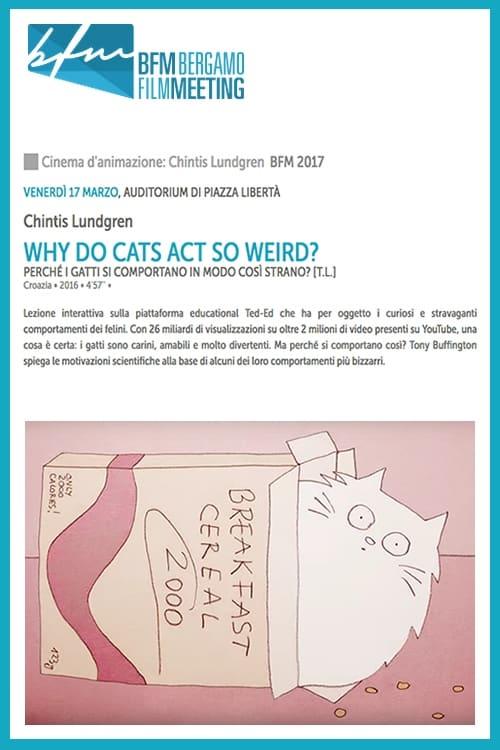 Why Do Cats Act So Weird? poster