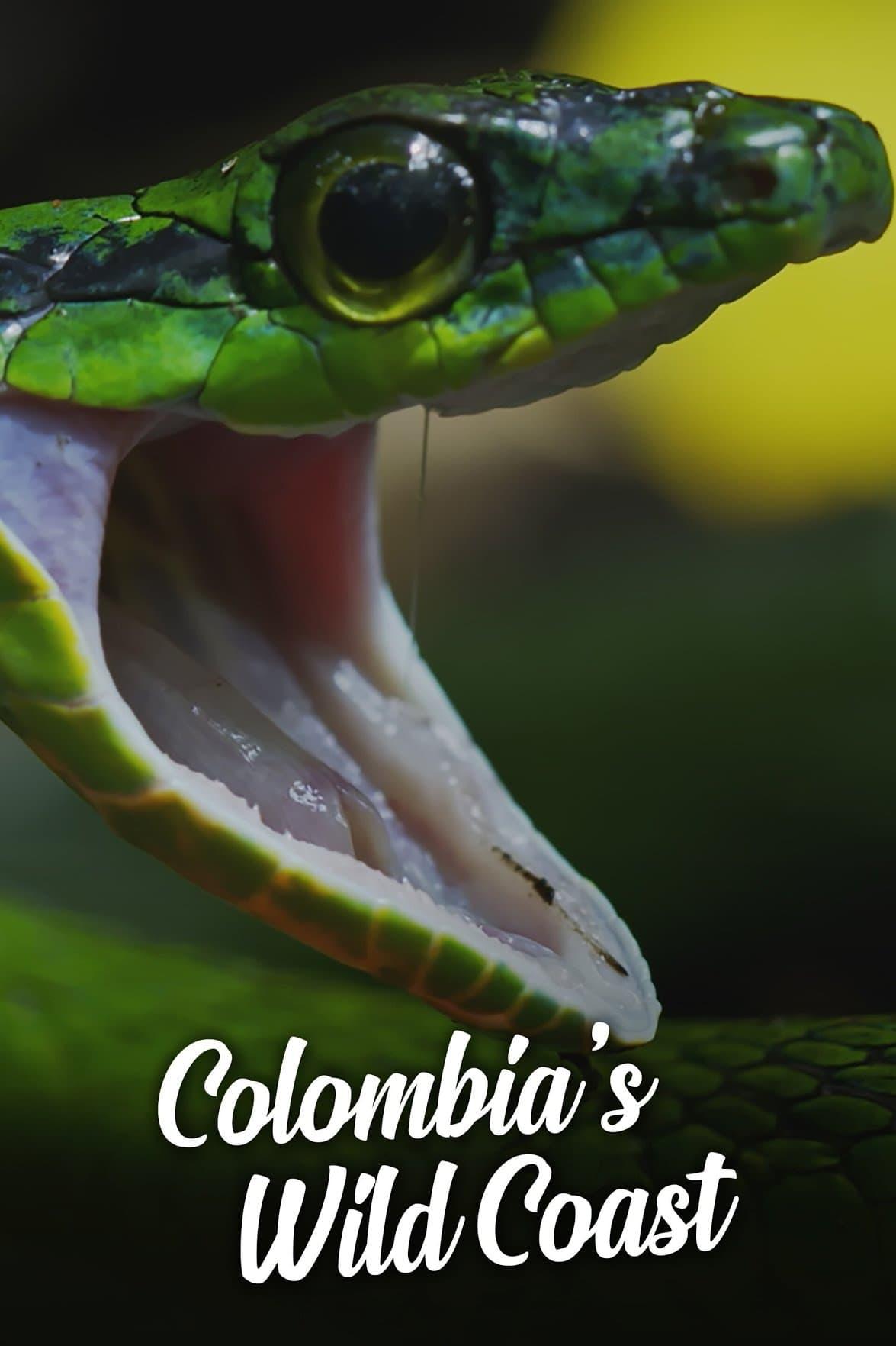 Colombia's Wild Coast poster