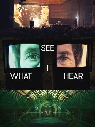 See What I Hear poster