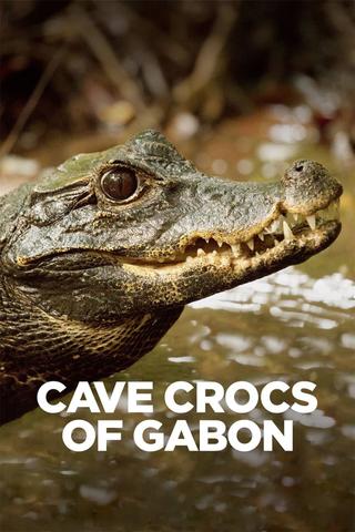 Cave Crocs of Gabon poster