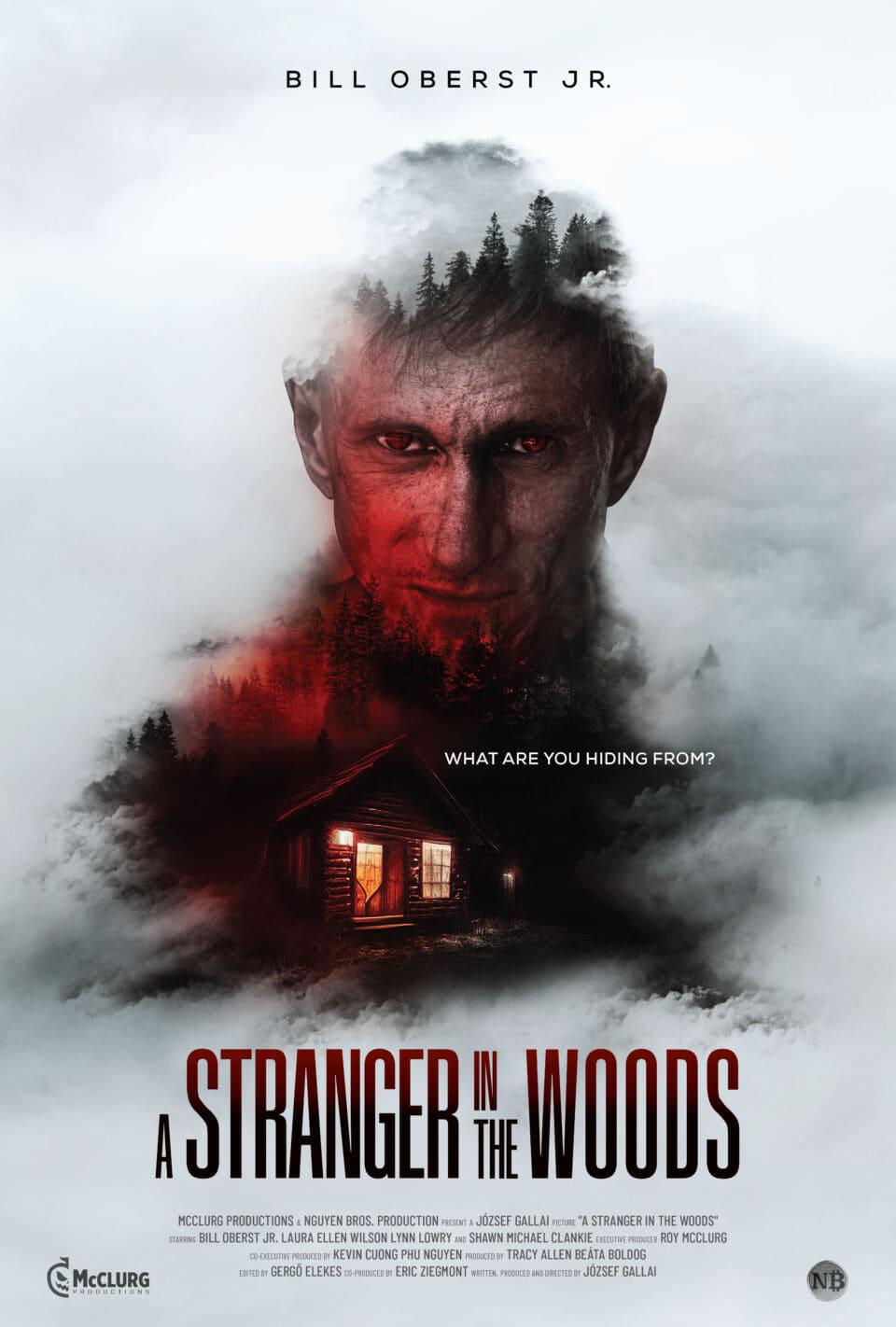 A Stranger in the Woods poster