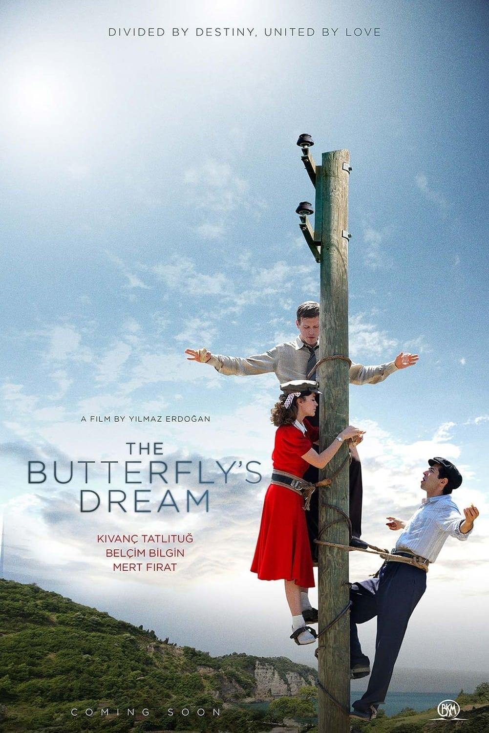 The Butterfly's Dream poster