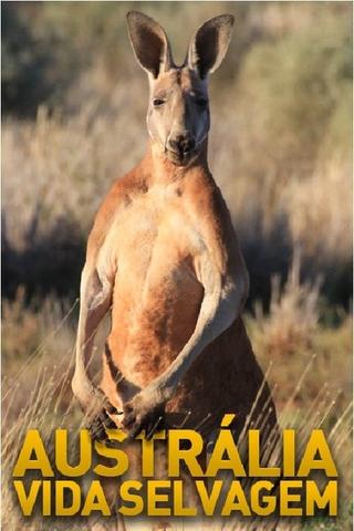 Australian Wildlife poster