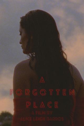 A Forgotten Place poster