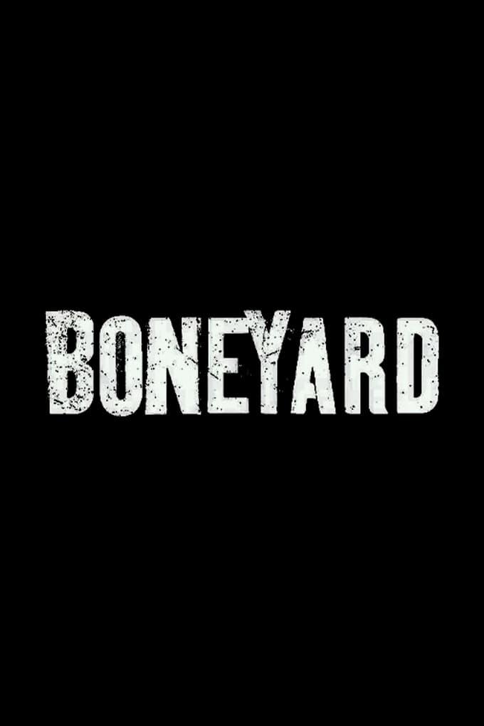 Boneyard poster