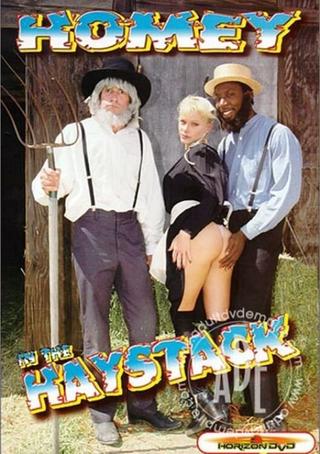 Homey In The Haystack poster