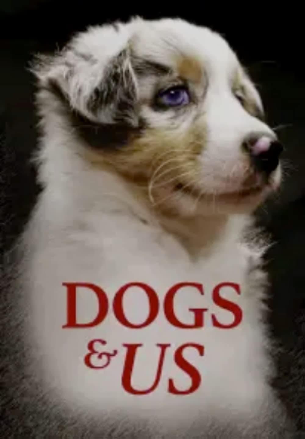 Dogs and Us: The Secret of a Friendship poster