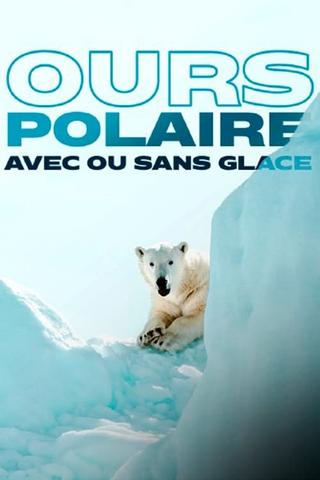 Face to Face with the Polar Bear poster